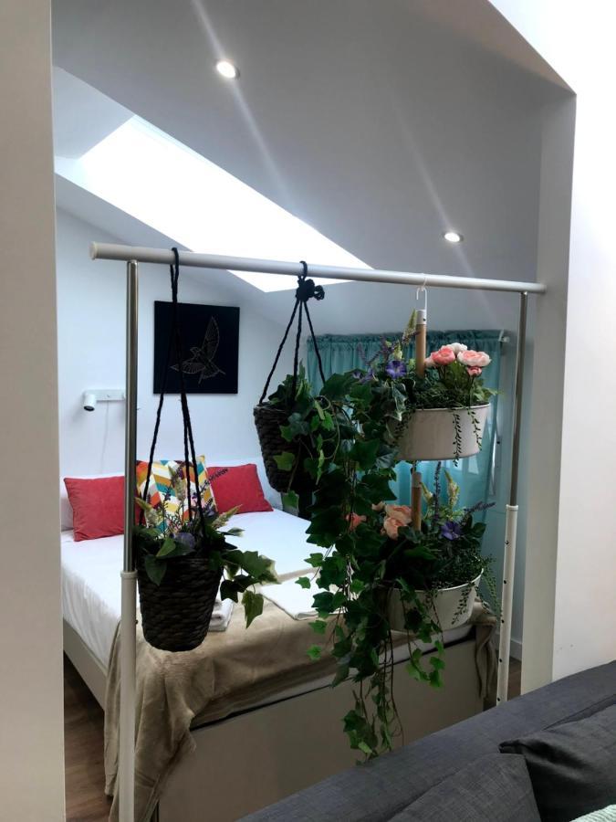 Insidehome Apartments - La Casita De Ursula Palencia Bagian luar foto
